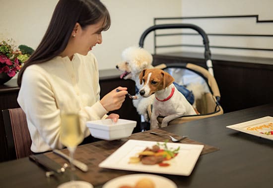 愛犬と同じテーブルで楽しめる地元食材を使用した料理長の創作フレンチ